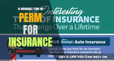 Understanding the Fundamentals: Is Insurance Term or Permanent?