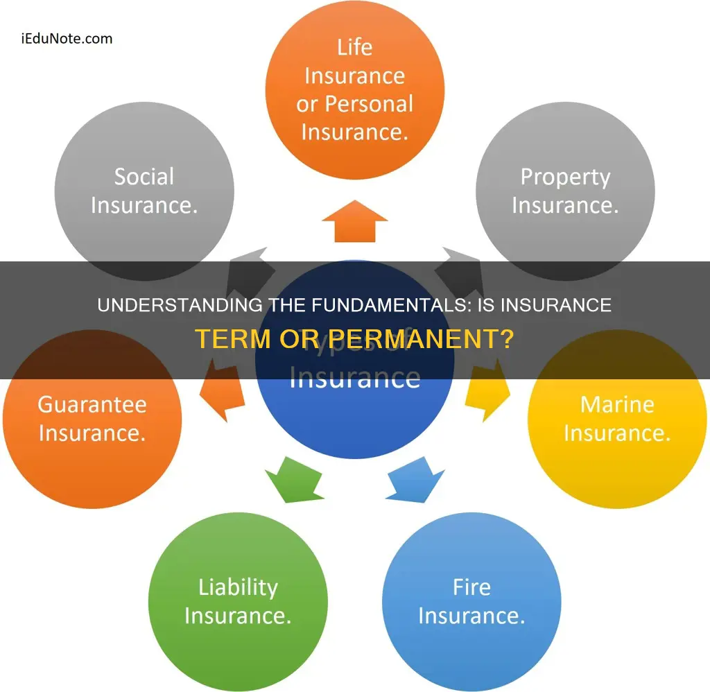 is insurance term or perm for insurance