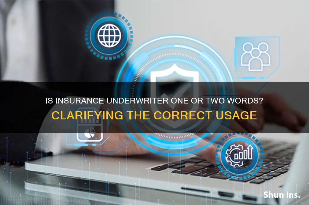 is insurance under writer 1 or 2 words