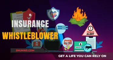 Unveiling Fraud: The Role and Impact of Insurance Whistleblowers