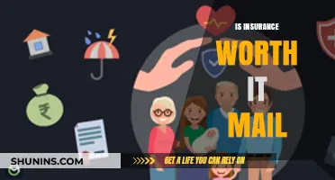 Insurance: Is It Worth the Cost?