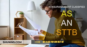 Insurance Agent: STTB Classification and Its Impact