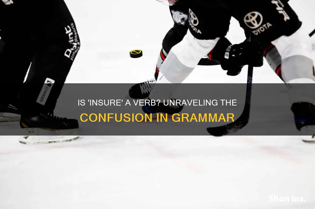is insure a verb