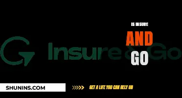 Insure and Go: Is It Worth the Hype?