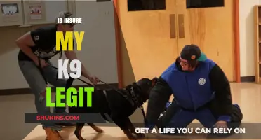 Is Insure My K9 Legit? A Comprehensive Review and Analysis