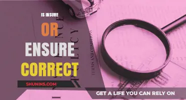 Insure vs. Ensure: Mastering the Correct Usage in Everyday Writing