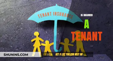 Is Insured a Tenant? Understanding Rental Insurance Responsibilities