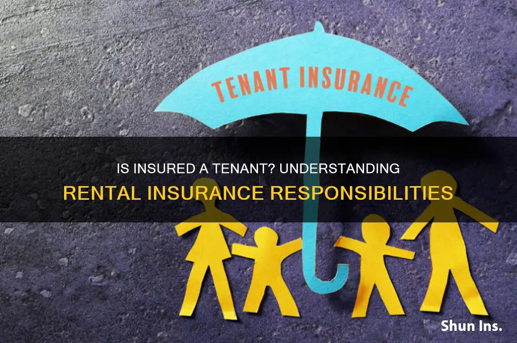 is insured a tenant