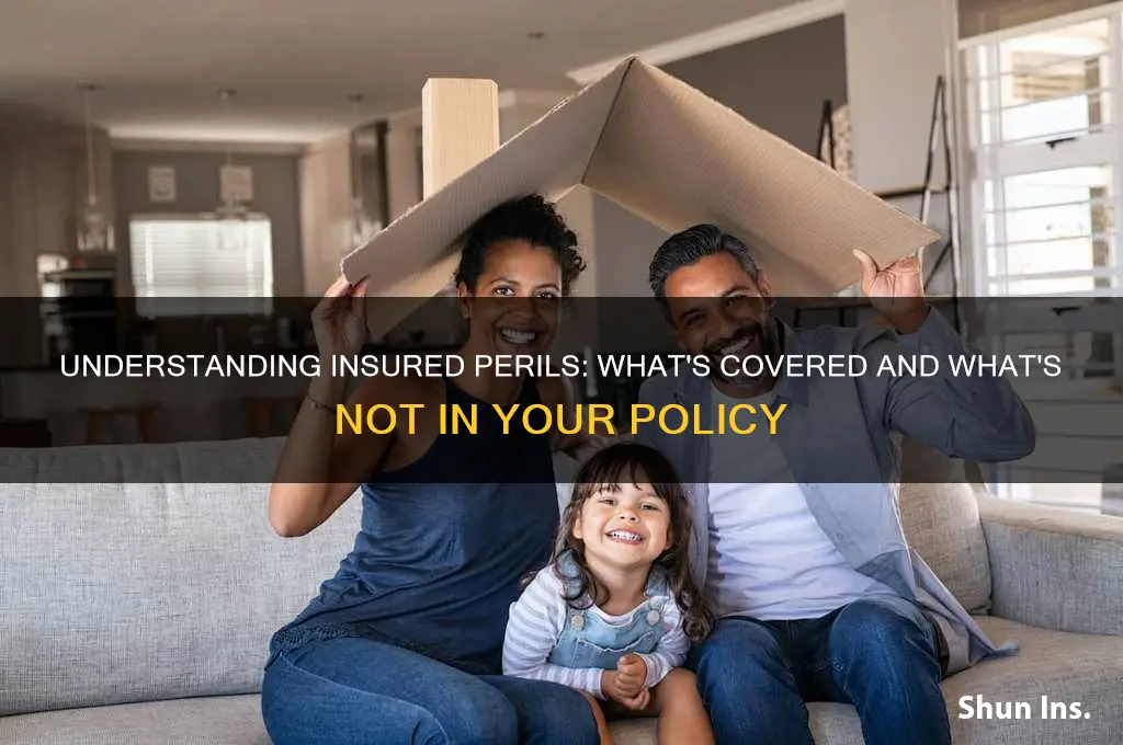 is insured peril