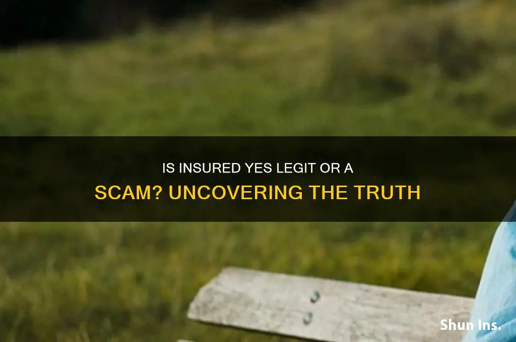 is insured yes a scam