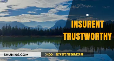 Is Insurent Trustworthy? A Comprehensive Review of Its Reliability