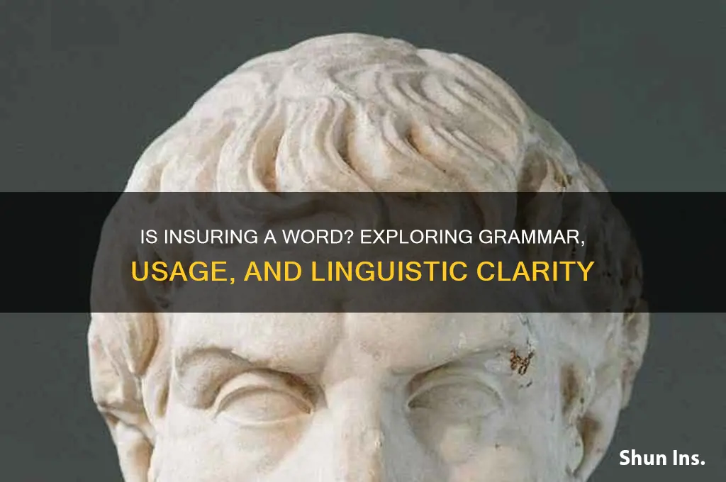 is insuring a word