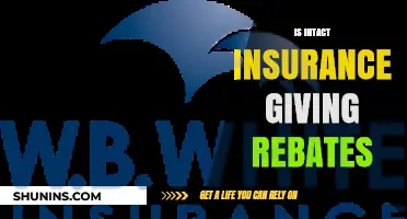 Is Intact Insurance Offering Rebates? What Policyholders Need to Know