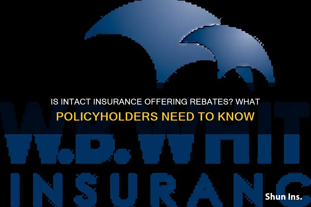 is intact insurance giving rebates