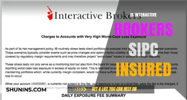 Is Interactive Brokers SIPC Insured? Understanding Your Protection