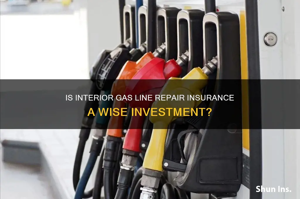 is interior gas line repair insurance necessary