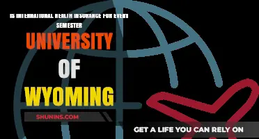 Semester Abroad: Unraveling International Health Insurance at the University of Wyoming