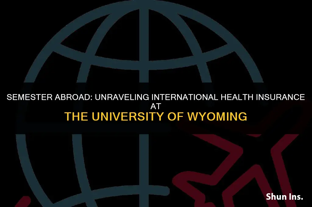is international health insurance for every semester university of wyoming