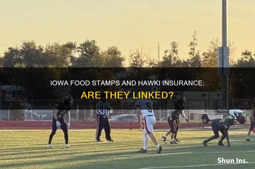 is iowa food stamps and hawki insurance tied together