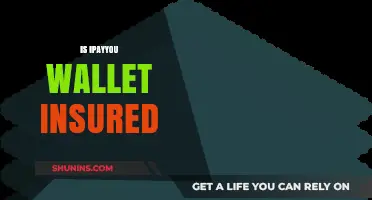 Is iPayYou Wallet Insured? Understanding Your Crypto Protection