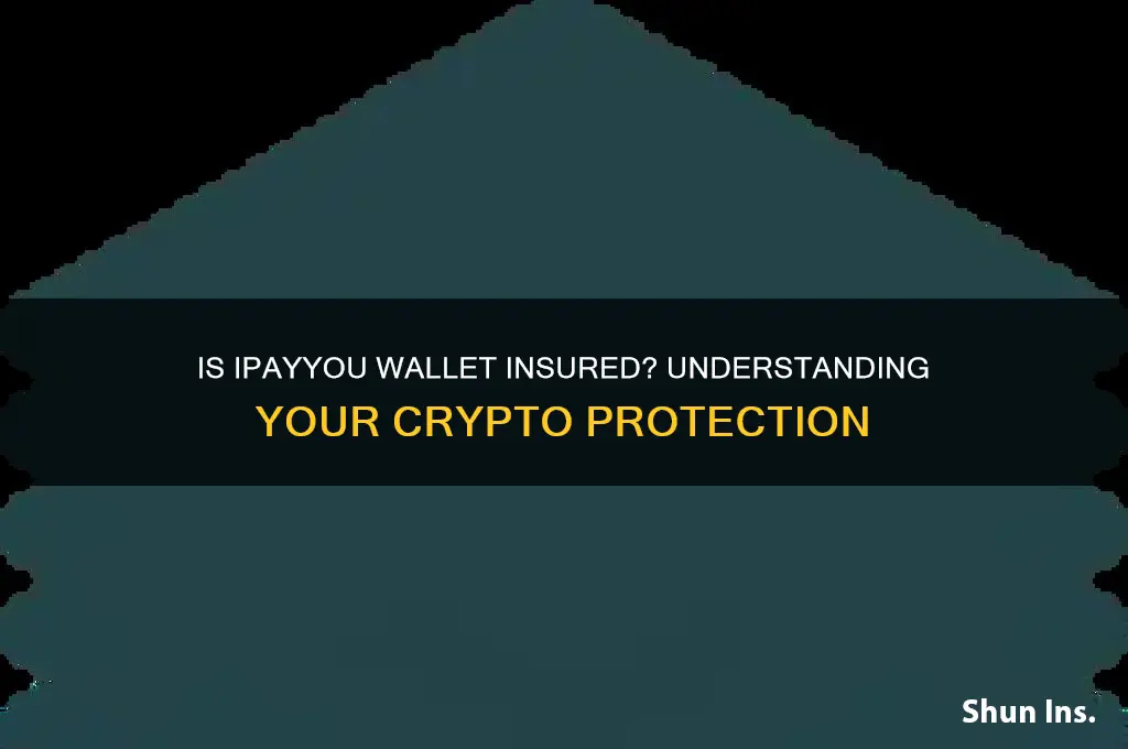 is ipayyou wallet insured
