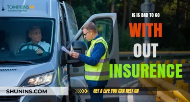 Insurance: Why Going Without is a Risky Business
