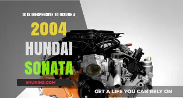Is Insuring a 2004 Hyundai Sonata Budget-Friendly? Find Out!