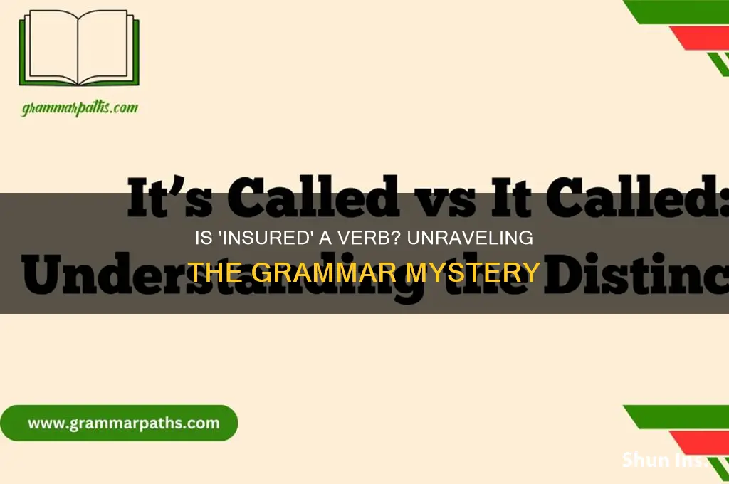 is is insured a verb
