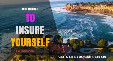 Can You Insure Yourself? Exploring Self-Insurance Possibilities and Limits