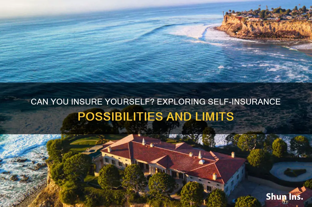 is is possible to insure yourself