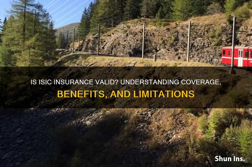 is isic insurance valid