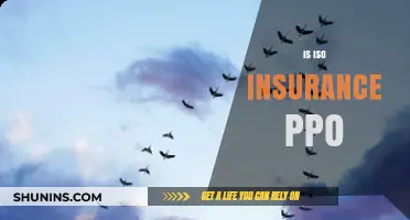 Understanding ISO Insurance: Is PPO the Right Choice for You?