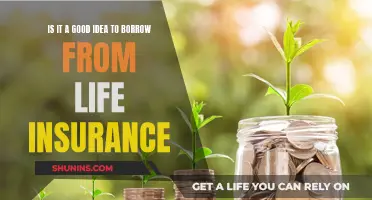 Borrowing from Life Insurance: Is It Worth the Risk?