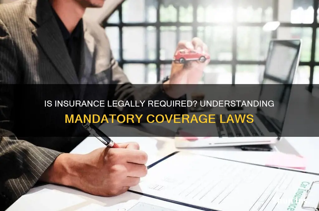 is it a law that we must have insurance