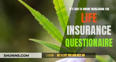 Marijuana Use: Does It Affect Life Insurance Premiums?