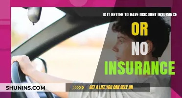 Discount Insurance vs. No Coverage: Weighing Risks and Rewards
