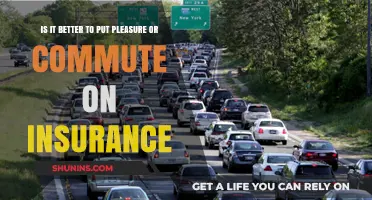 Pleasure vs. Commute: Which Insurance Option Saves You More?