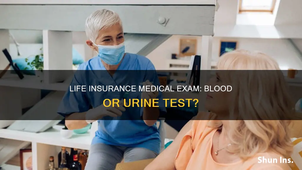 is it blood or urine test for life insurance