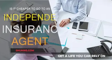 Independent Insurance Agents: Cheaper or Not?
