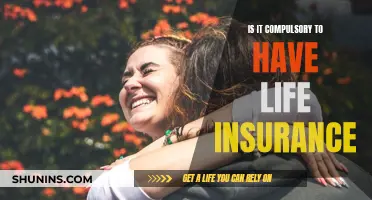 Life Insurance: A Necessary Safety Net?