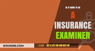 Challenges of Being an Insurance Examiner: A Realistic Career Insight