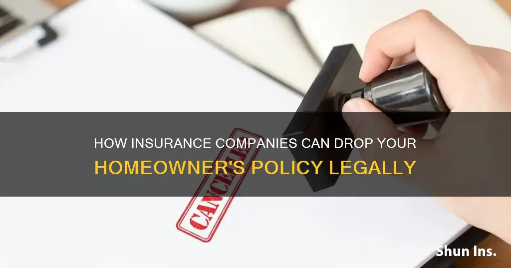 is it illegal for your insurance to drop you homeowners