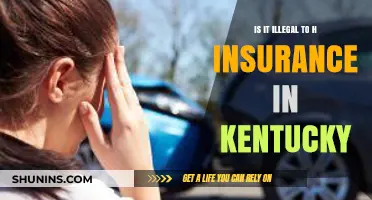 Is It Illegal to Hit and Run in Kentucky? Legal Insights