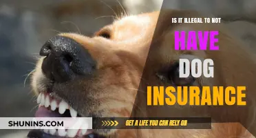 Is Dog Insurance Legally Required? Understanding Pet Ownership Laws