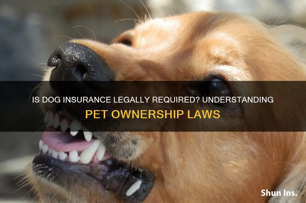 is it illegal to not have dog insurance