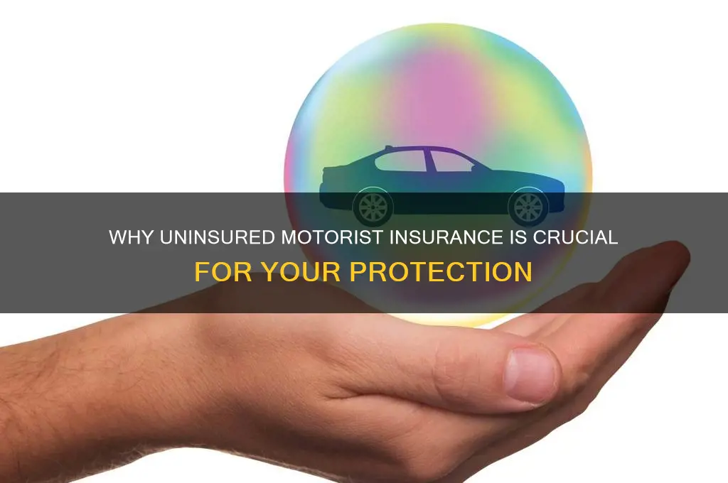 is it important to have uninsured motorist insurance
