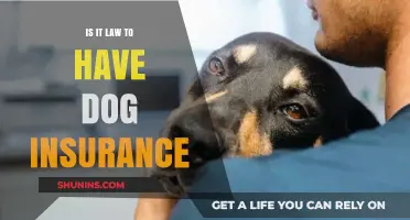 Is Dog Insurance Legally Required? Understanding Pet Ownership Laws