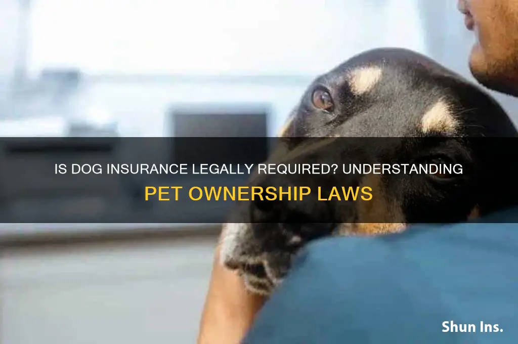 is it law to have dog insurance