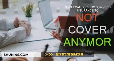 Homeowners Insurance: Can They Drop You?