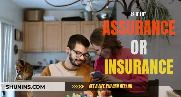 Life Assurance or Insurance: What's the Real Difference?